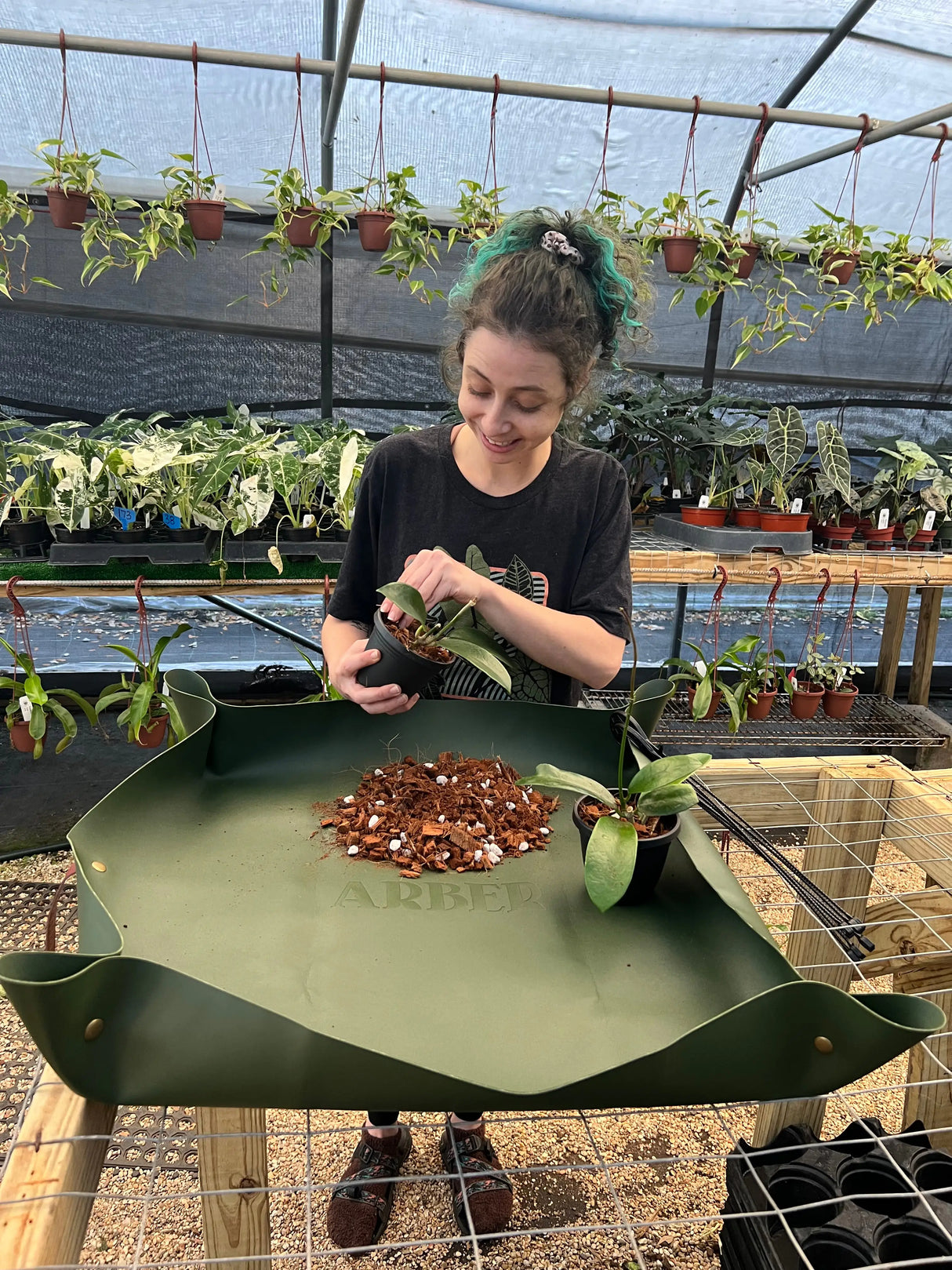 Canopy Plant Co. Arber repotting mat in natural fabric with green edges, designed for plant repotting and gardening tasks.