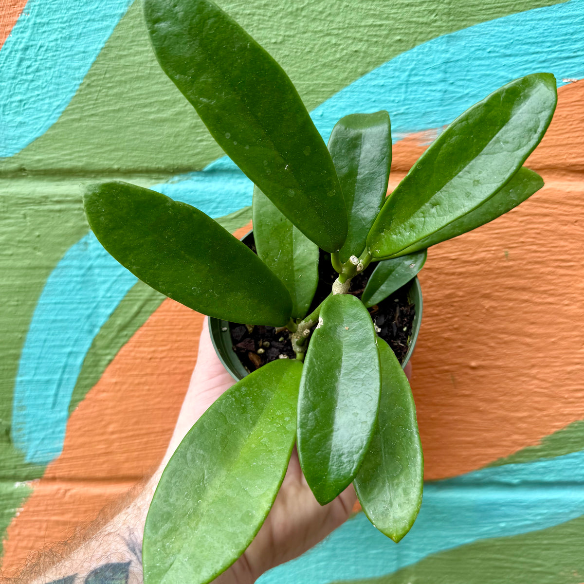 FullSizeRender_0d0d495f-198e-