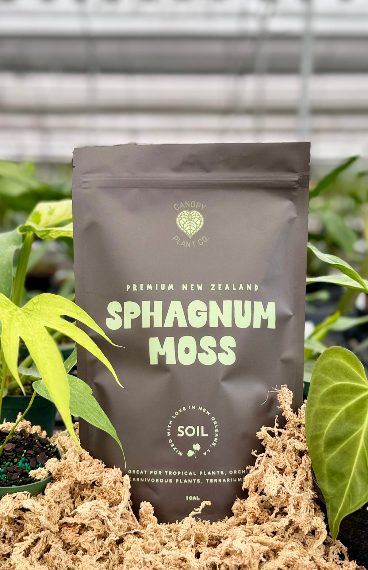 Premium New Zealand Sphagnum Moss (1 gallon)