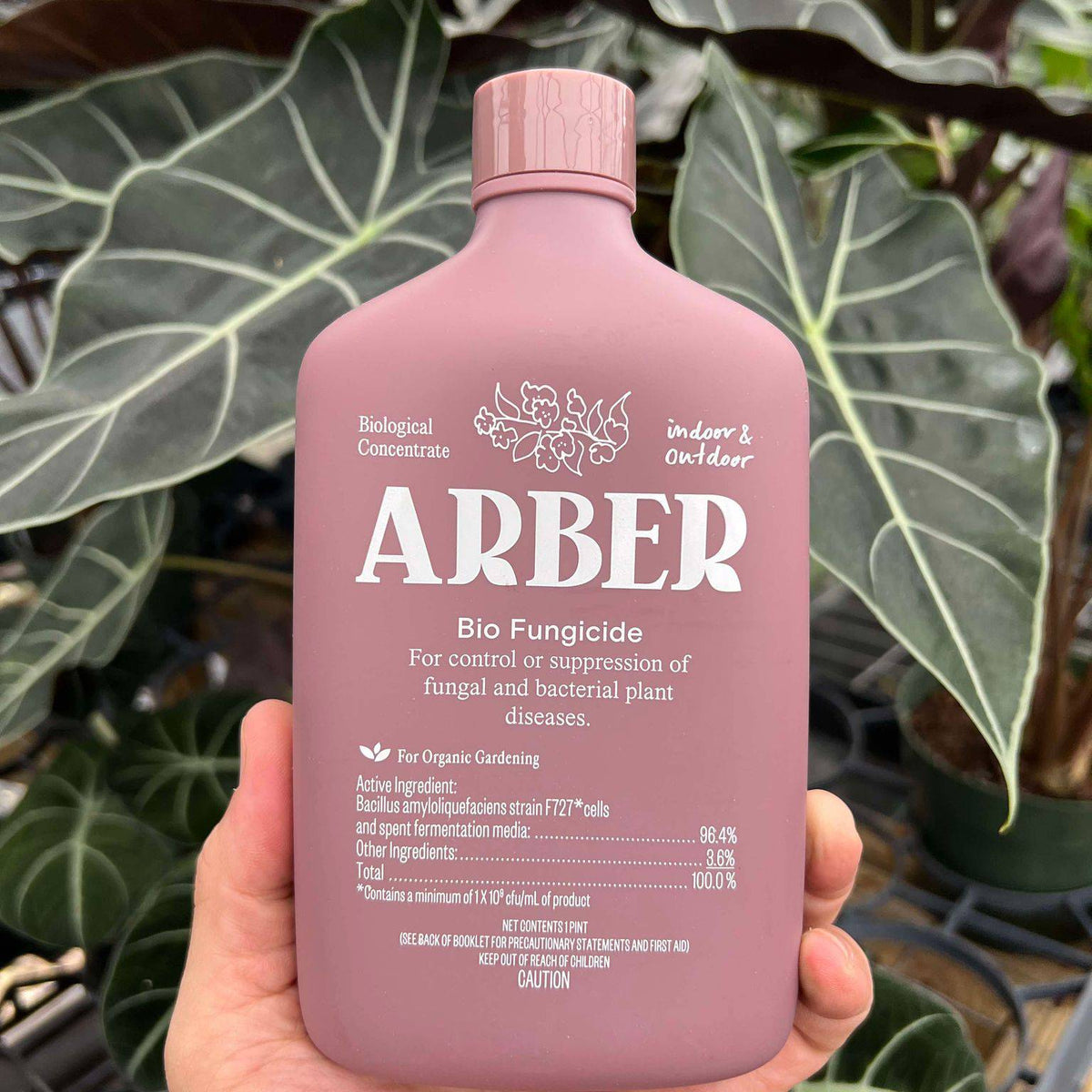 fungicide for anthurium Arber Organic Bio-Fungicide 16oz concentrate – Canopy Plant Co