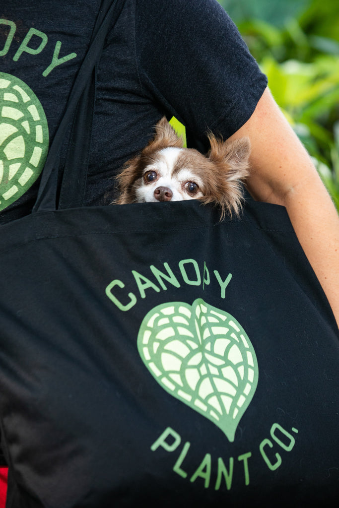 Tote Bag - Canopy Plant Co.
