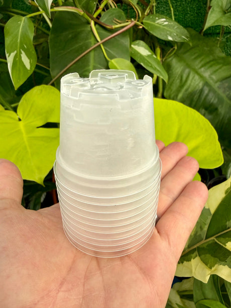 2" Clear grow pot (10 pack) -  Canopy Plant Co.