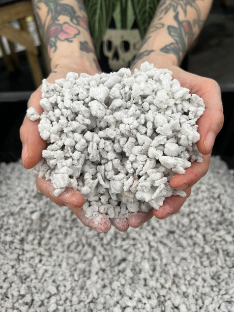 Big Perlite (1 gallon) - Canopy Plant Co.