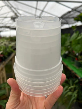 4" Clear grow pot (5 pack) - Canopy Plant Co.