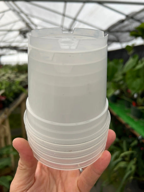 4" Clear grow pot (5 pack) - Canopy Plant Co.
