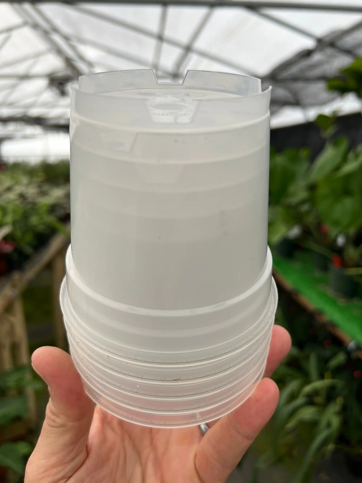 4" Clear grow pot (5 pack) Canopy Plant Co.