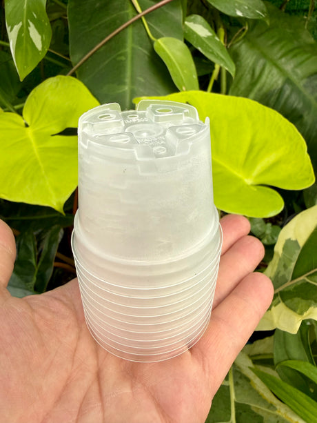 2" Clear grow pot (10 pack)