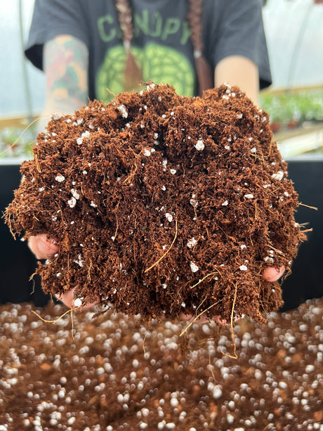 All Purpose Soil Mix (2 gallons) - Canopy Plant Co.