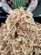Premium New Zealand Sphagnum Moss (1 gallon)