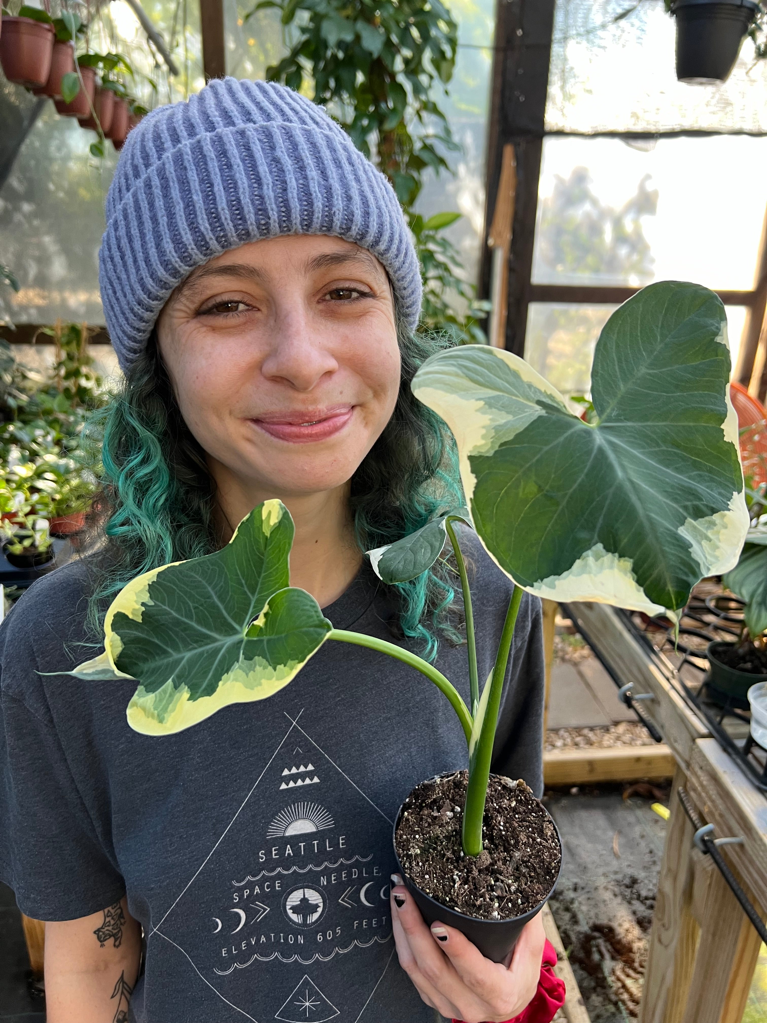 Coming Soon – Canopy Plant Co.