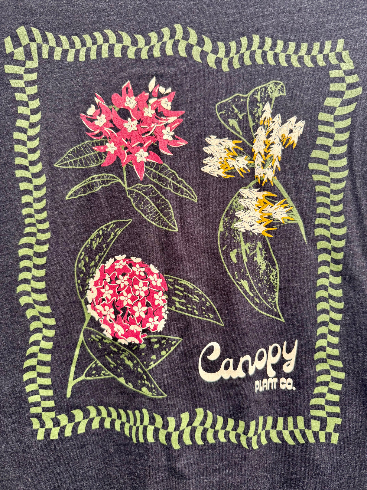 'Hoya' T-shirt - Canopy Plant Co.
