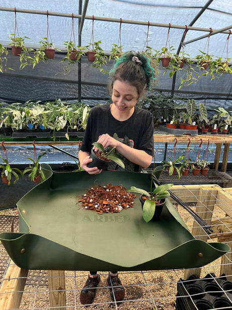 Canopy Plant Co. Arber repotting mat in natural fabric with green edges, designed for plant repotting and gardening tasks.