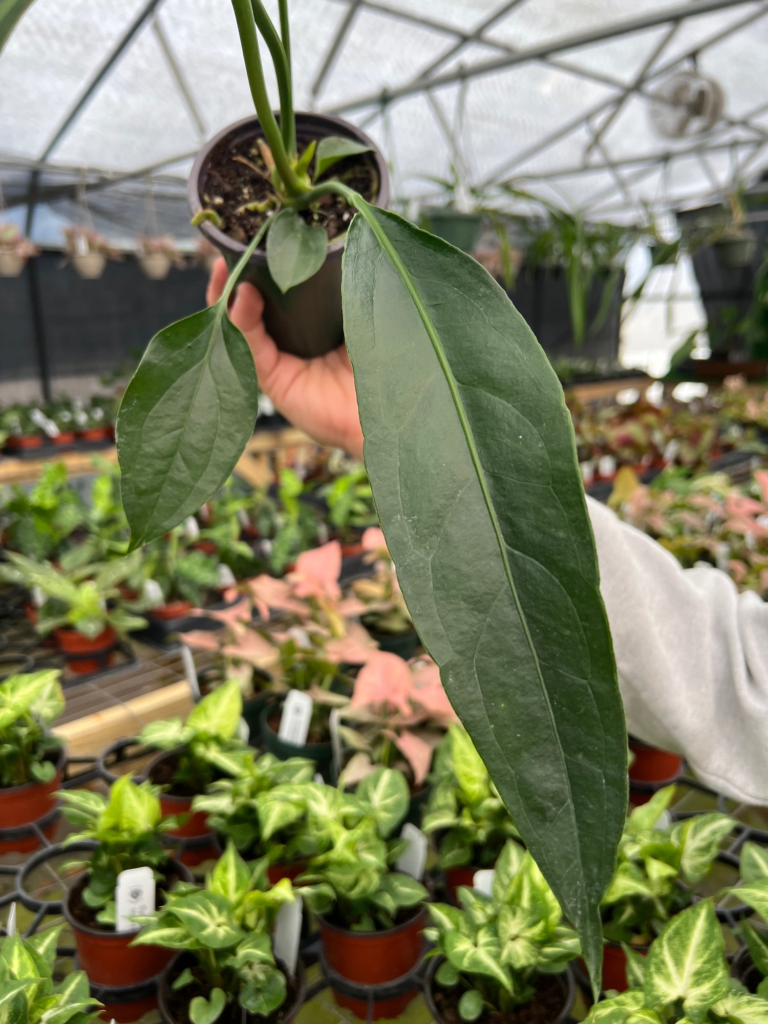 Hướng Dẫn Tận Hưởng 888b.coffee – Thế Giới Cà Phê Tuyệt Vời