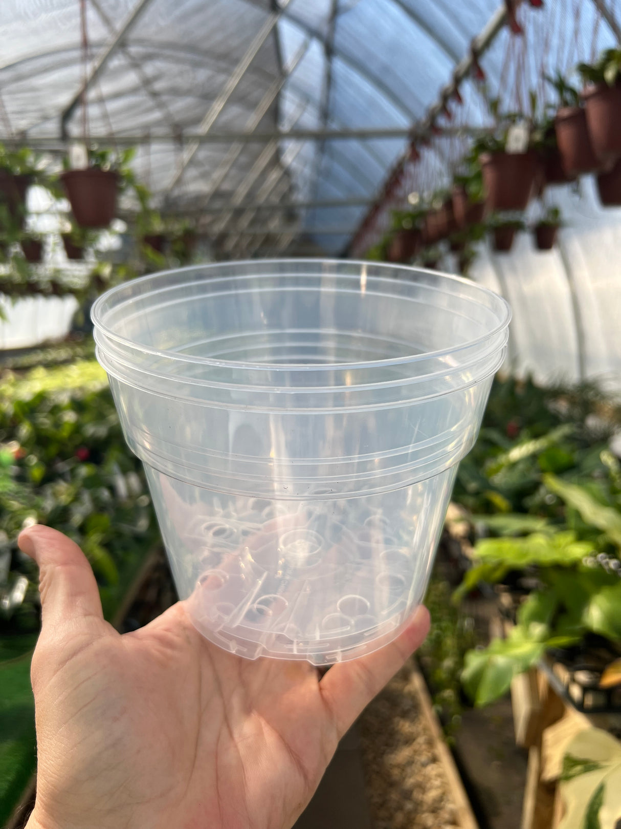 6" Clear grow pot (3 pack)