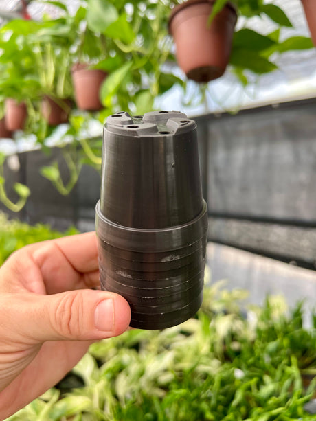 2" Grow Pot (10 pack) - Canopy Plant Co.