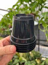 3" Grow Pot (5 pack)