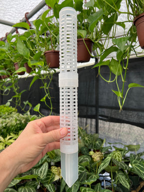 Fillable Moss Pole - Canopy Plant Co.