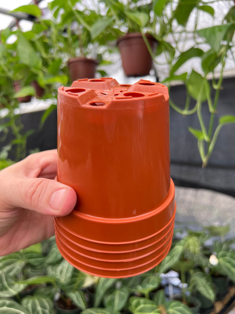 4" Grow Pot (5 pack) - Canopy Plant Co.