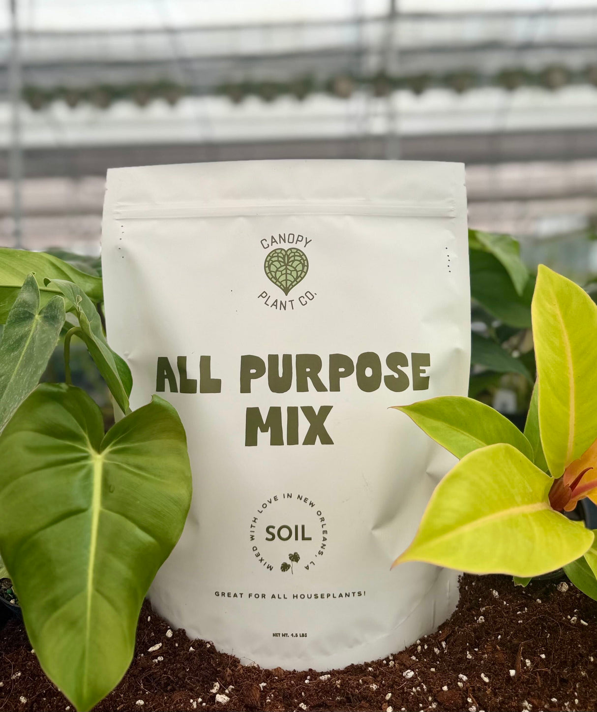 All Purpose Soil Mix (2 gallons) - Canopy Plant Co.