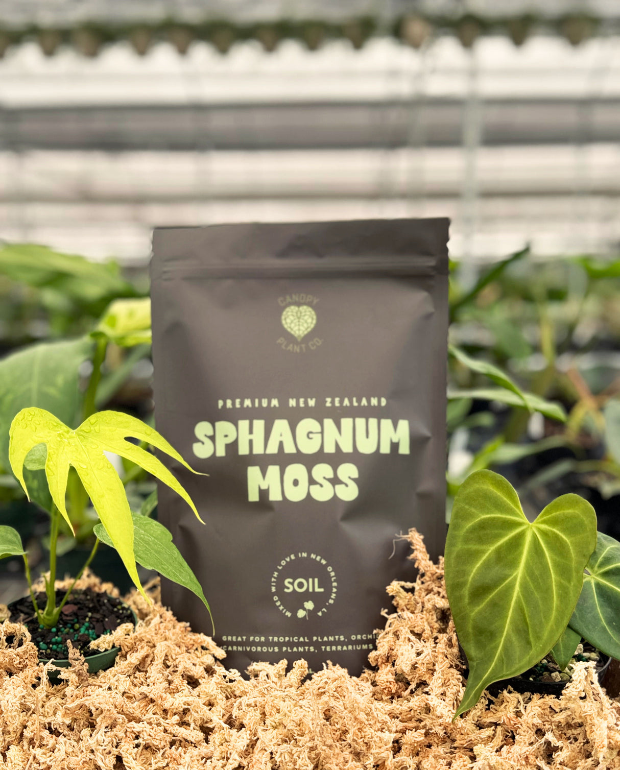 Premium New Zealand Sphagnum Moss (1 gallon)