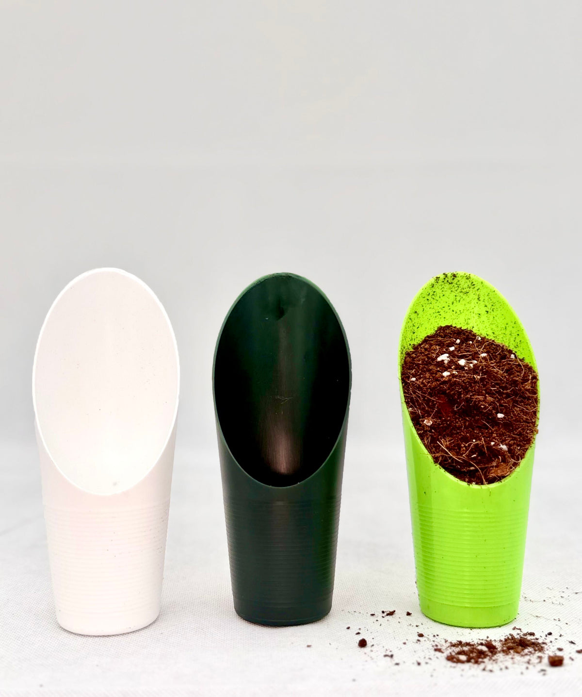 Plant Scoop - Canopy Plant Co.