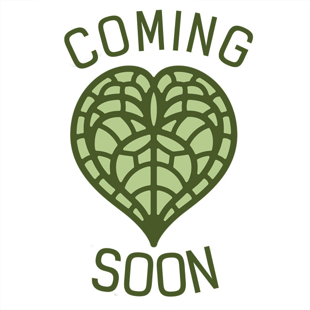 Products – Page 7 – Canopy Plant Co.