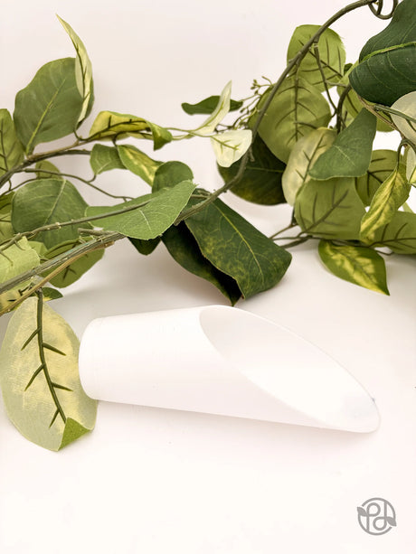 Plant Scoop - Canopy Plant Co.
