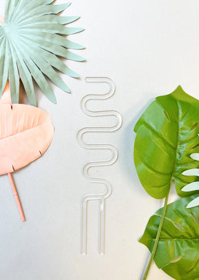 10" Arka Acrylic 'Sway' Plant Stake - Canopy Plant Co.