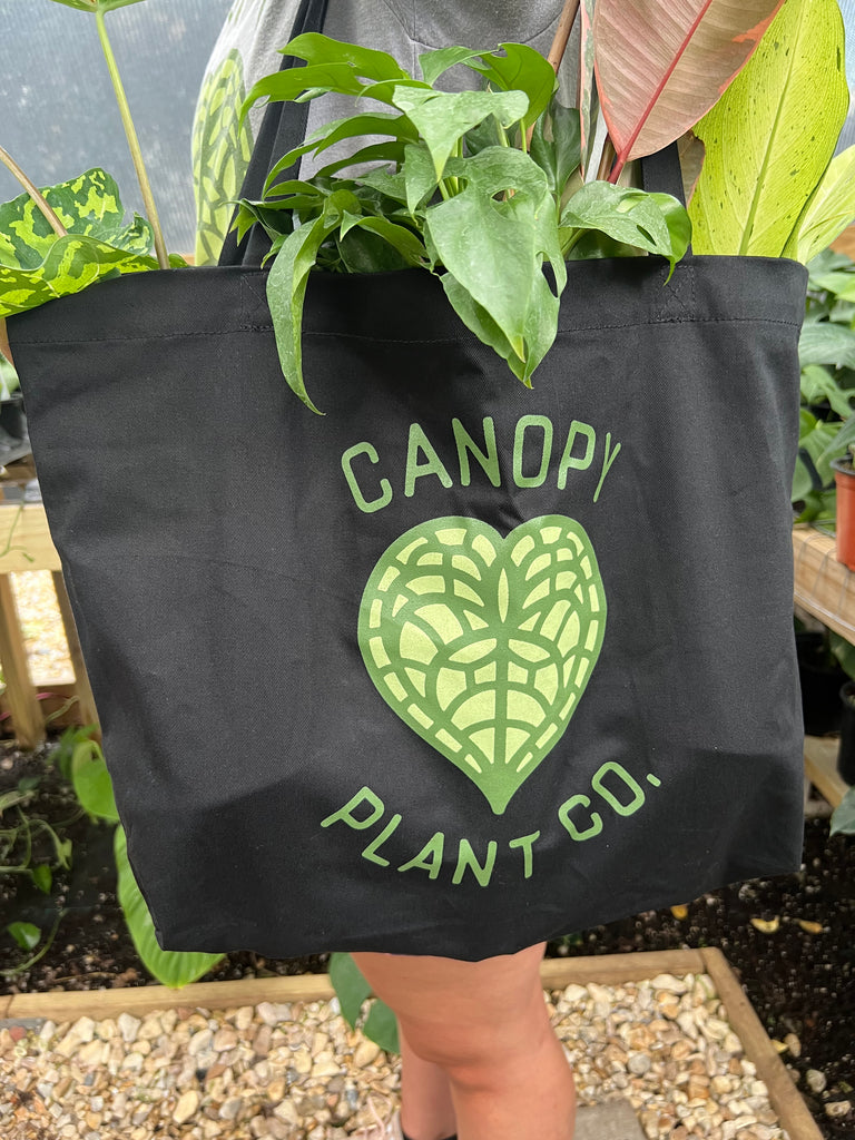 Plant Tote - Canopy Plant Co.